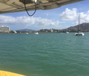 Townsville "Duck Pond"