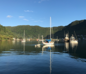 Harbour at sunrise