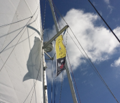 Sailing with the Rally Flag
