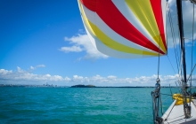 sailing into Auckland under spinnaker