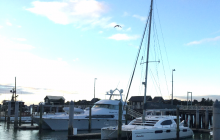 Malakite at Opua Marina