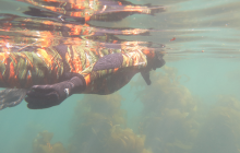 Mum off on a snorkel