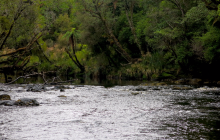 The infamous river rocks