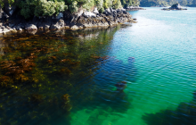 Crystal clear water even right in town