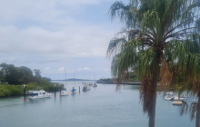 Pile moorings, Gladstone Harbour.