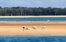 Pancake creek anchorage.