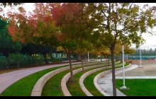 Westpoint Harbor autum