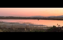 Westpoint Harbor evening