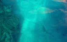 15 meters below, the anchor chain snakes along the sea bed