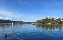 Just another beautiful Wellington day