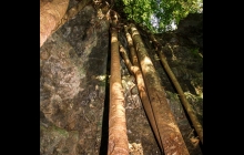 Isle des Pins, caves