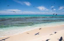 Wreck Reef - Bird Islet