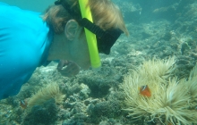 Peek-a-boo to you. Vera chatting to a clownfish.