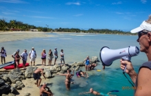 Start of coconut olympics