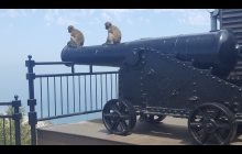 Two of the 300 macaques that call this rock their home.