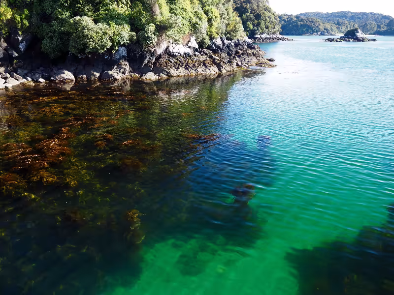 Crystal clear water even right in town